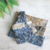 Saree Blouse_ECCS01051